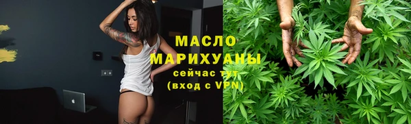 индика Мегион