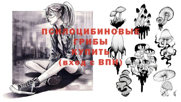 соль ск Майский