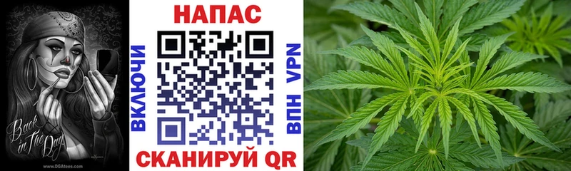 Купить где  Павловская  Каннабис семена 